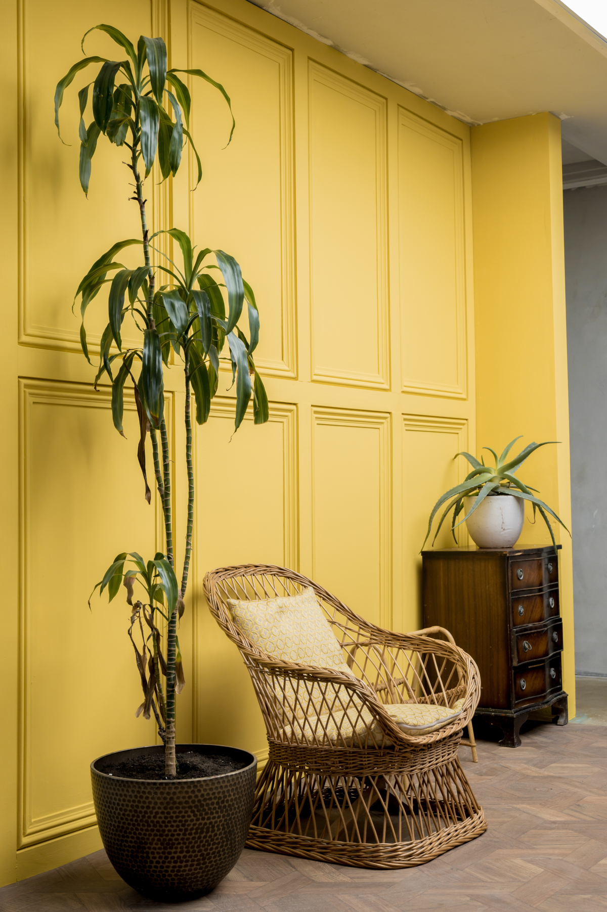 lounge yellow panel wall