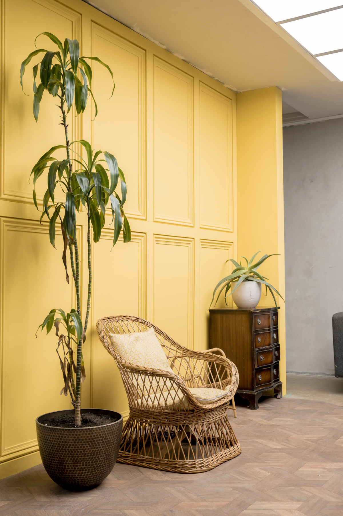 lounge yellow panel wall whicker chair vinyl floor